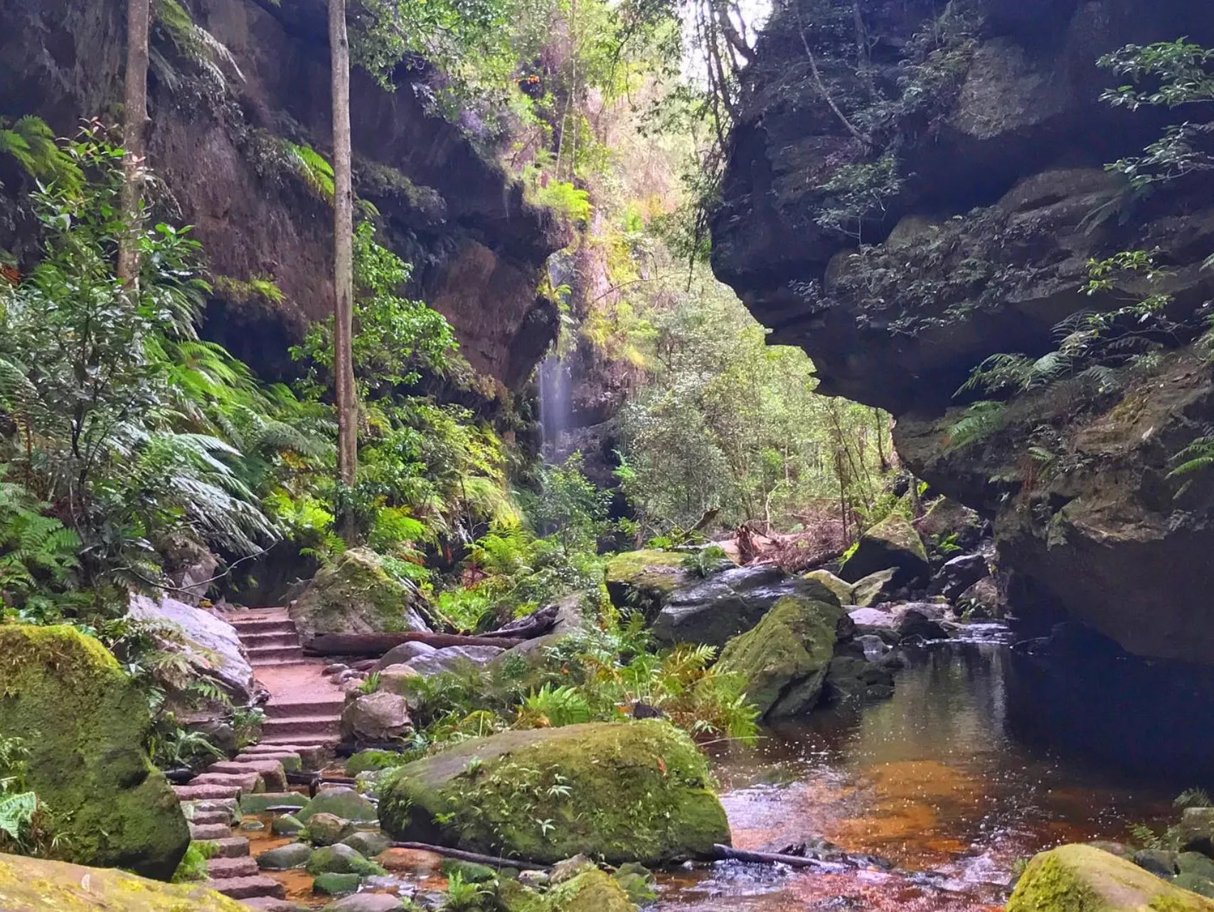 Grand Canyon Track, Blue Mountains