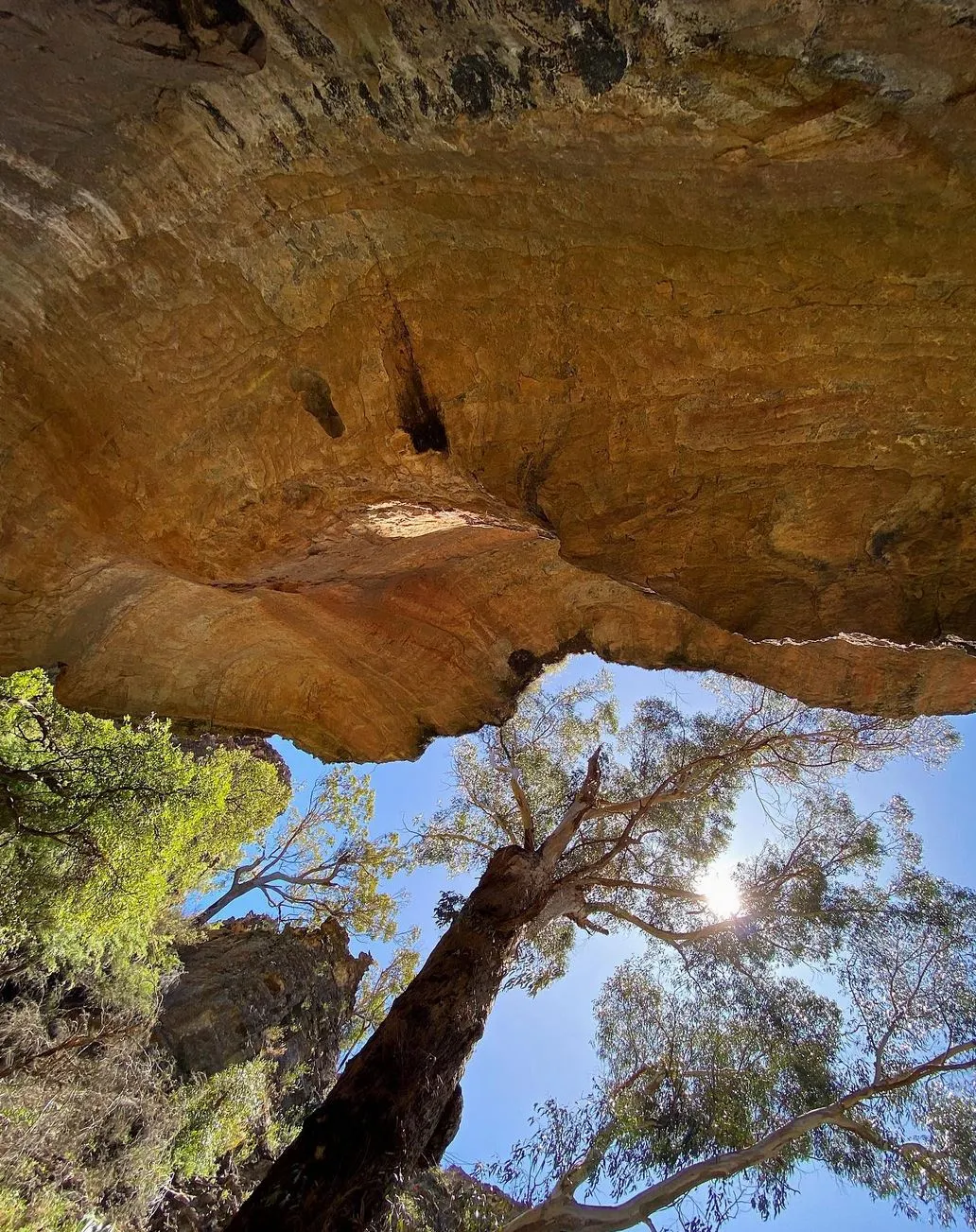 Greater Blue Mountains World Heritage Area