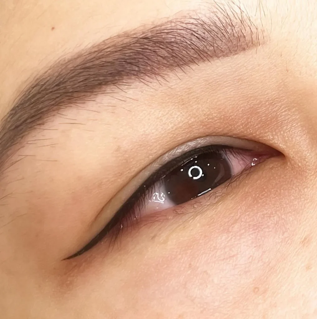 Introduction to Eyeliner Cosmetic Tattooing