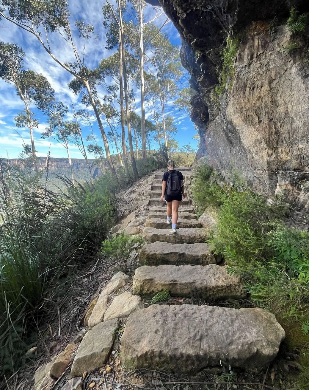What Is the Best Hike in the Blue Mountains