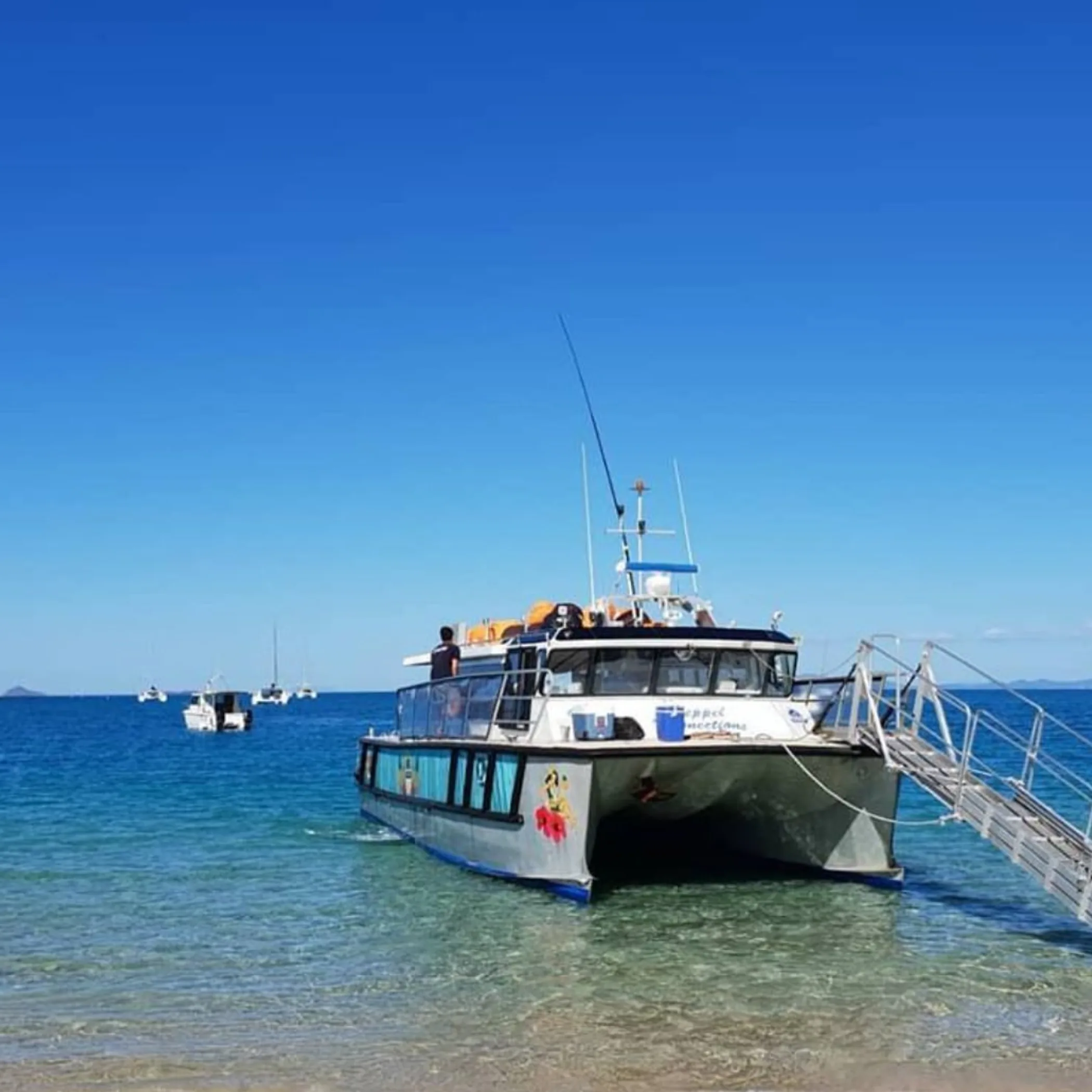 Lady Elliot Island