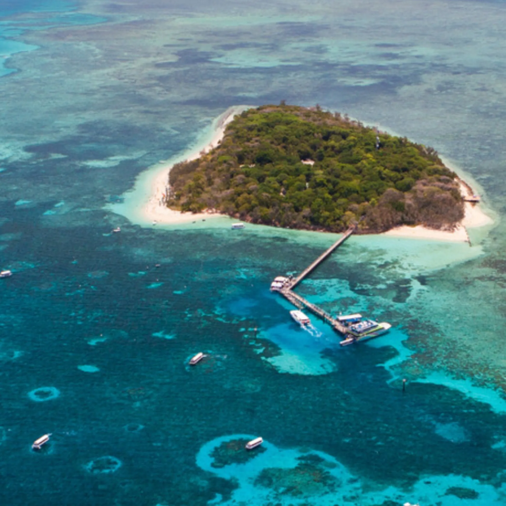 Brisbane to Great Barrier Reef