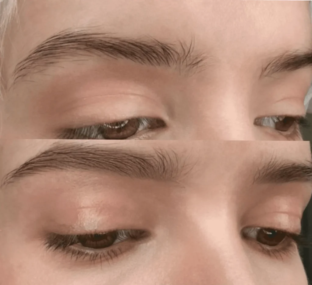 feathering eyebrows course