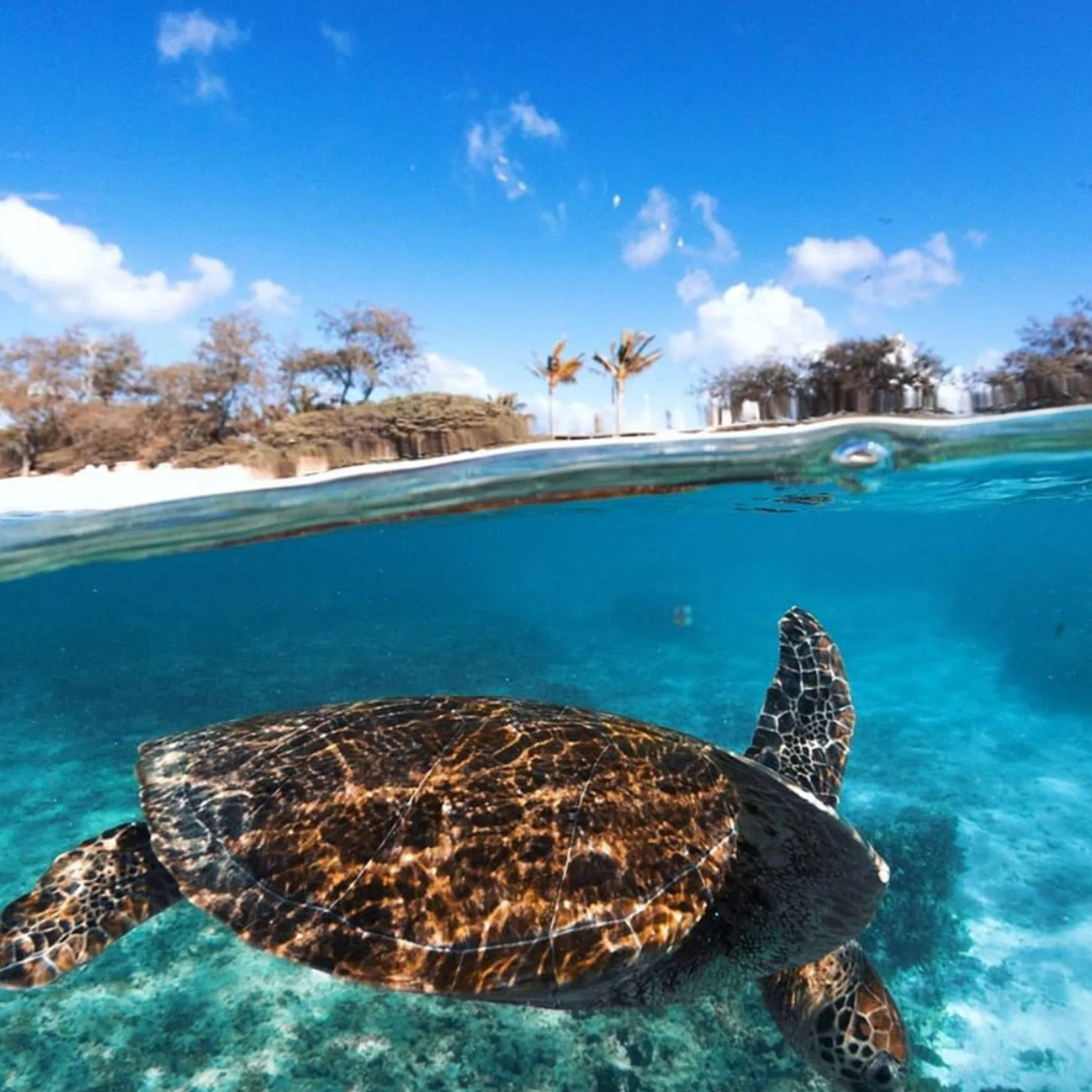 how far is the Great Barrier Reef from Brisbane