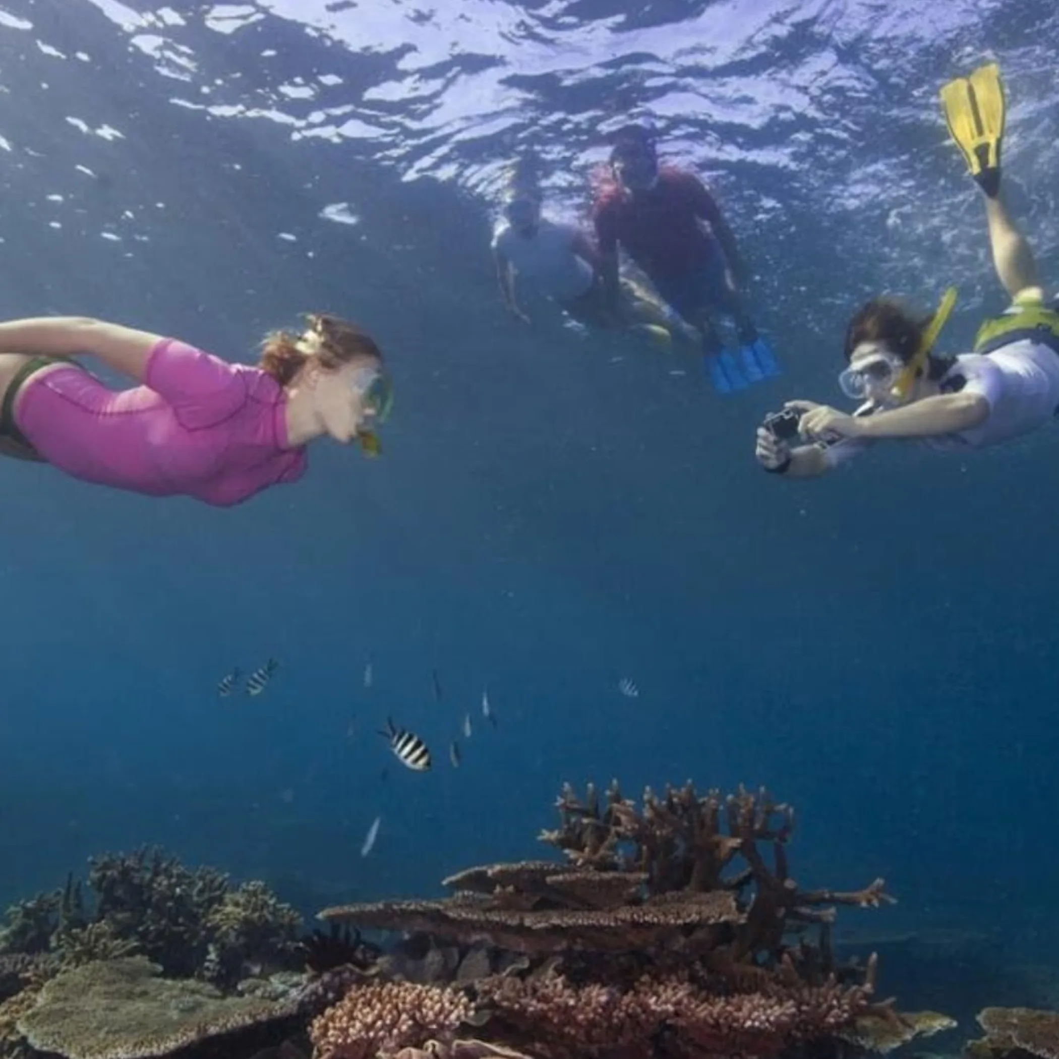 diving travel planning